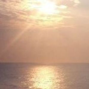 Meet your Posher, Betty